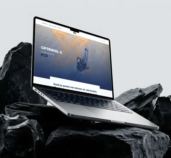 WooCommerce integrations with your business systems
